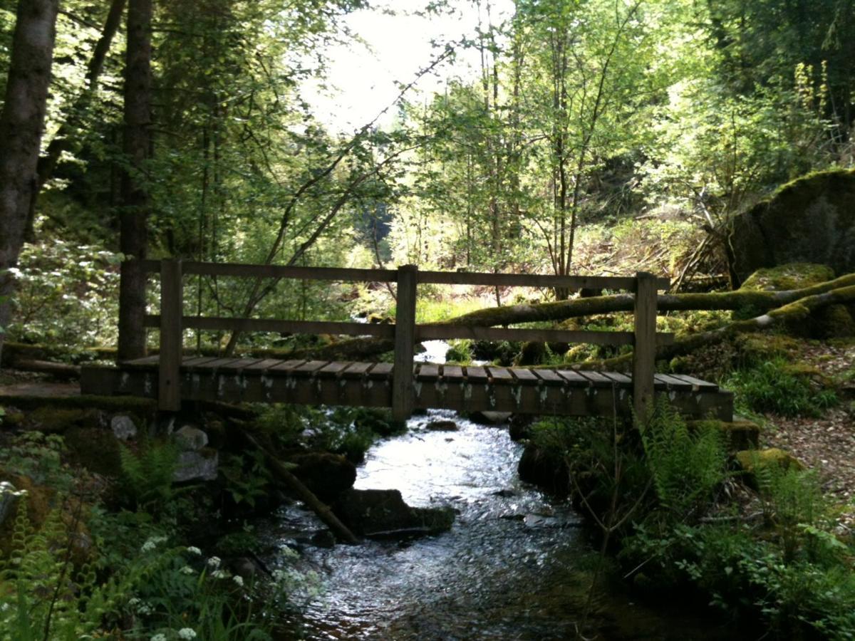 Chalet Les Ecureuils Saint-Nabord Luaran gambar